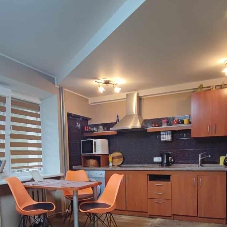 Du Draugai Apartment Druskininkai Buitenkant foto